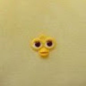 Meet your Posher, Frog